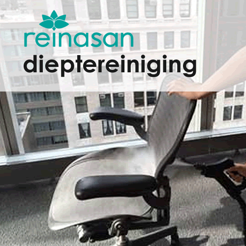 dieptereiniging